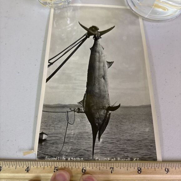 Original VTG New Zealand Government Publicity Photo Swordfish Caught @ Russell - Picture 1 of 6